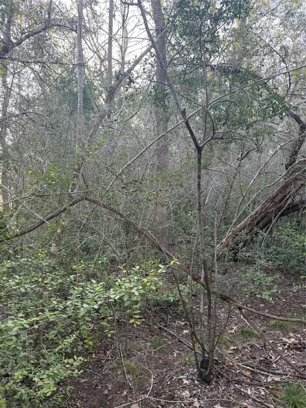 Lot 608 Waimanalo DR, Bastrop, TX 78602