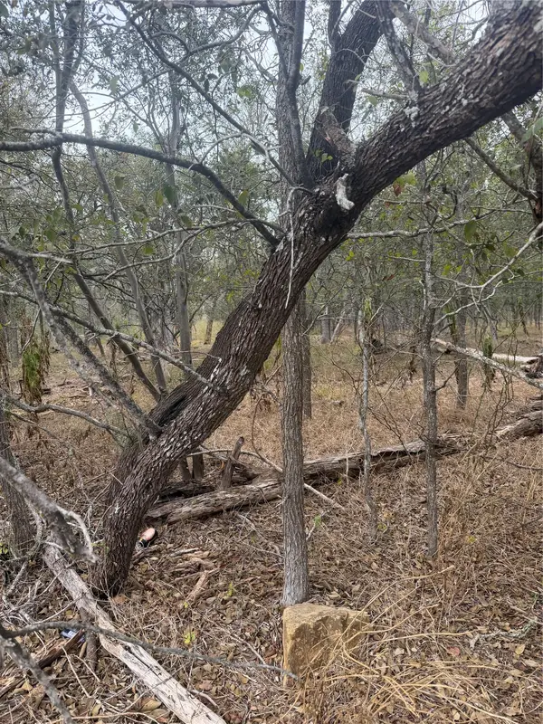 Lots 298, 300 Riverside DR, Bastrop, TX 78602