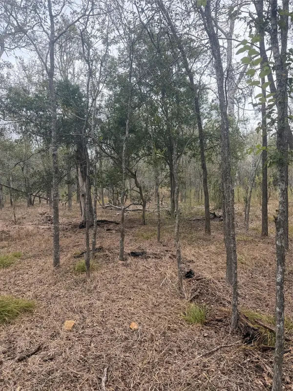 298 Riverside DR, Bastrop, TX 78602