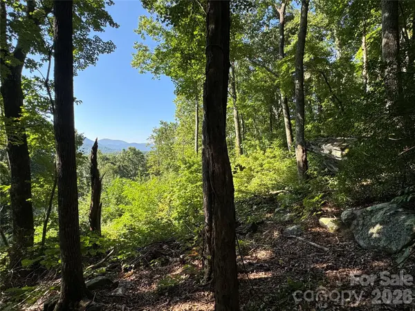 107 Copperhead CV, Fairview, NC 28730
