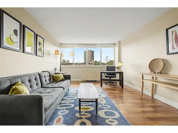 1196 N Grant #407, Denver, CO 80203