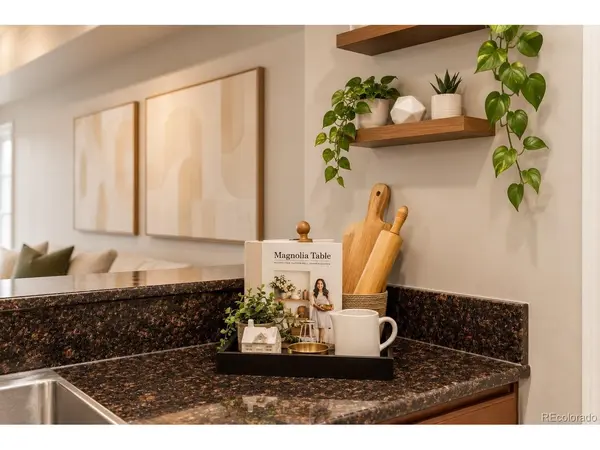 975 N Lincoln #11H, Denver, CO 80203