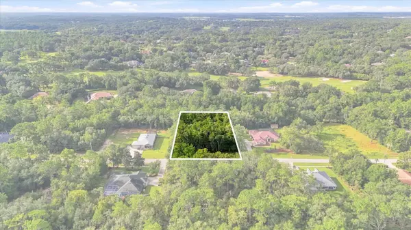 3286 W BIRDS NEST DR, Beverly Hills, FL 34465