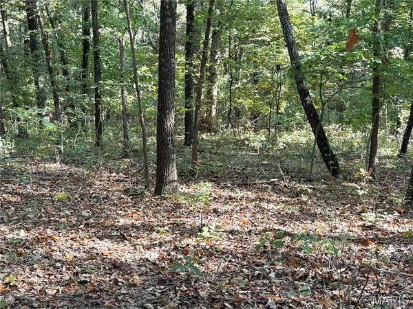 19017 Old Wild Turkey LN, Wildwood, MO 63069