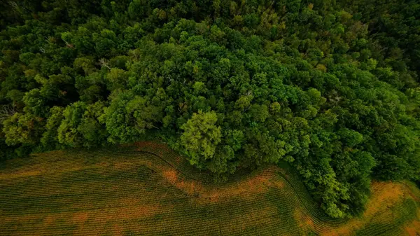 TBD County Road I, Pepin, WI 54759