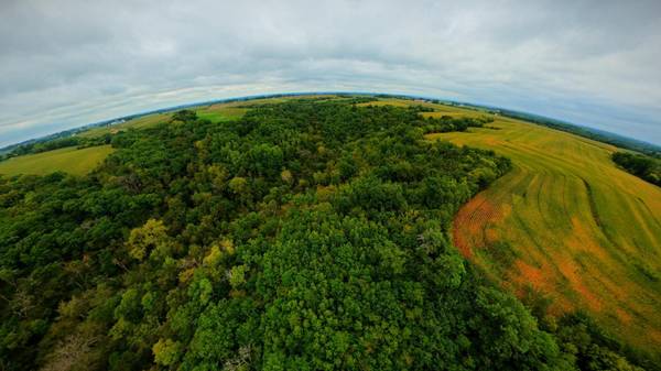 TBD County Road I, Pepin, WI 54759