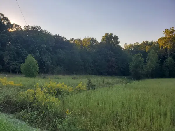 2242 Shelton Ferry Rd, Southside, TN 37171