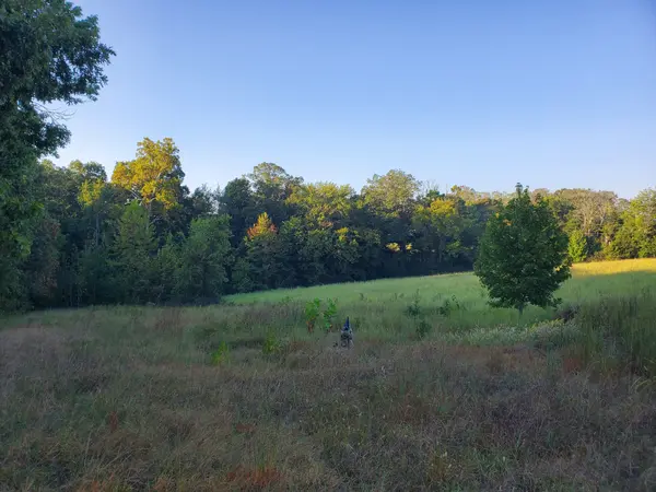 2242 Shelton Ferry Rd, Southside, TN 37171