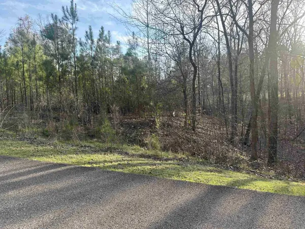 0 SHILOH FALLS COURT RD, Savannah, TN 38372