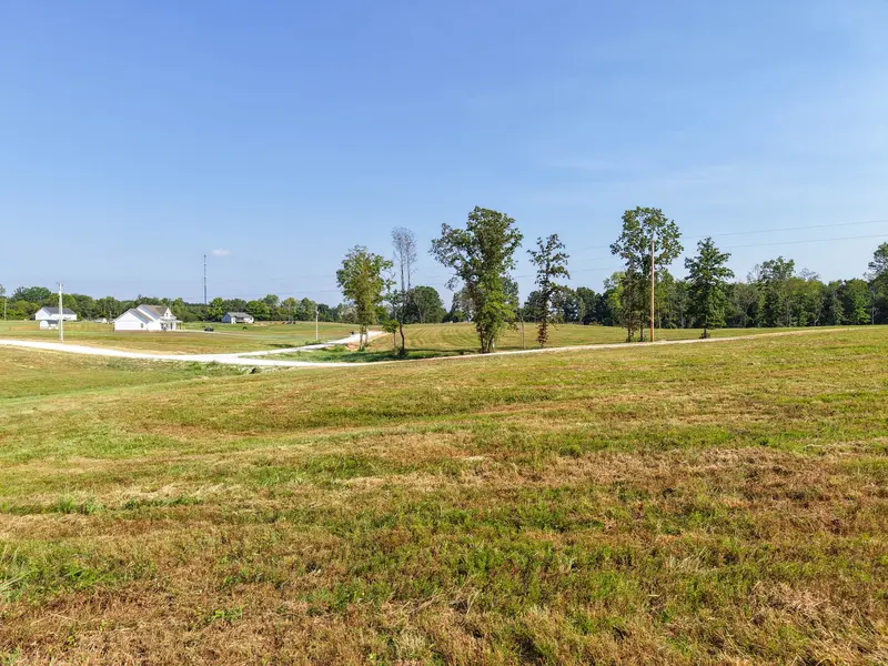 0 Bear Dr, Loretto, TN 38469