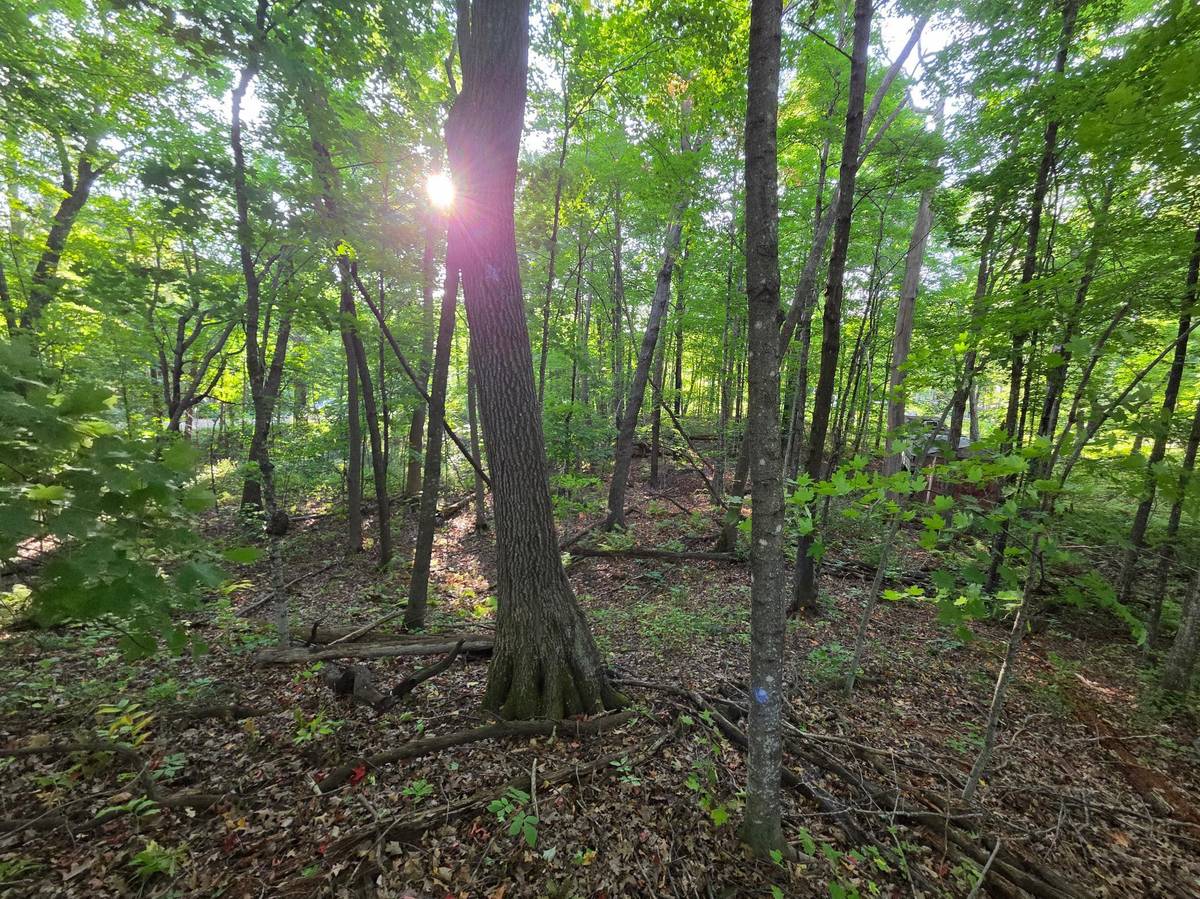 TBD Deer Trail, Garrison, MN 56450