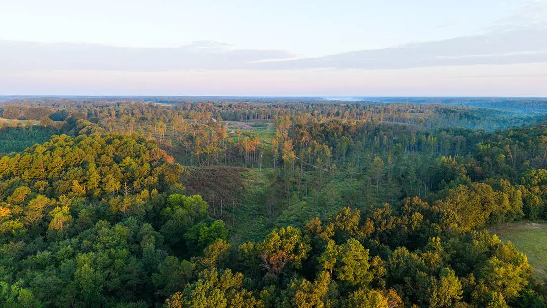 0 Second Creek Road, Lutts, TN 38471