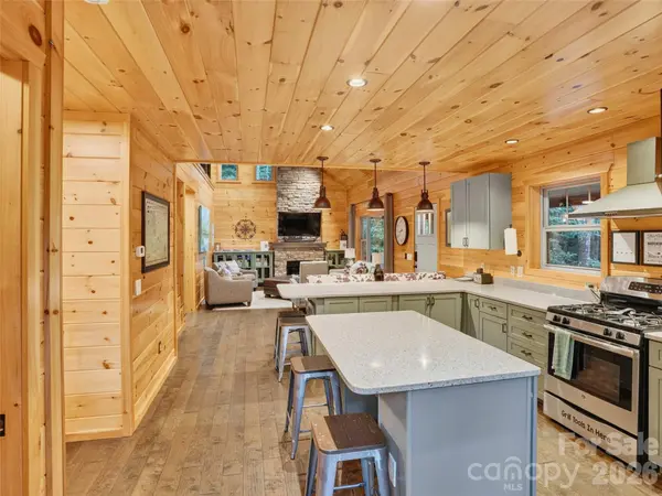 3050 Green River Cove RD, Saluda, NC 28773