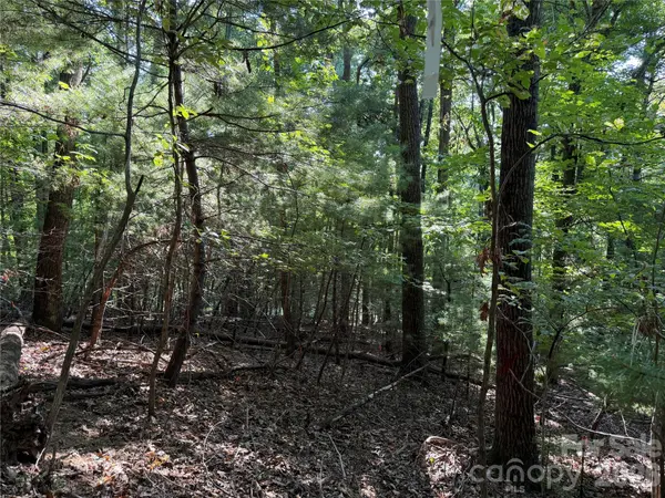 121 Bobby Jones DR #48, Hendersonville, NC 28739