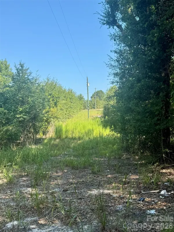 0000 Newman LN, Jefferson, SC 29718