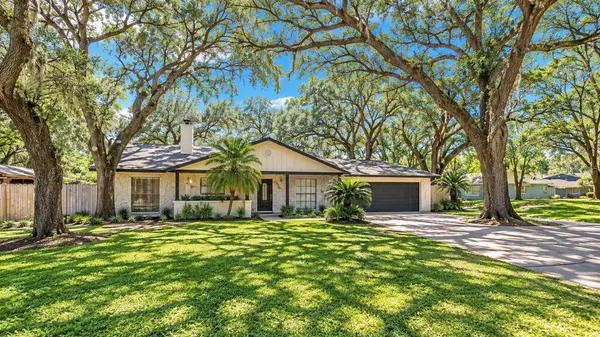 7405 WILLIAMS RD, Seffner, FL 33584