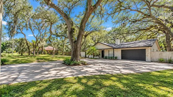 7405 WILLIAMS RD, Seffner, FL 33584