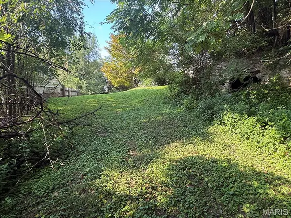 401 Fulton AVE, Hannibal, MO 63401