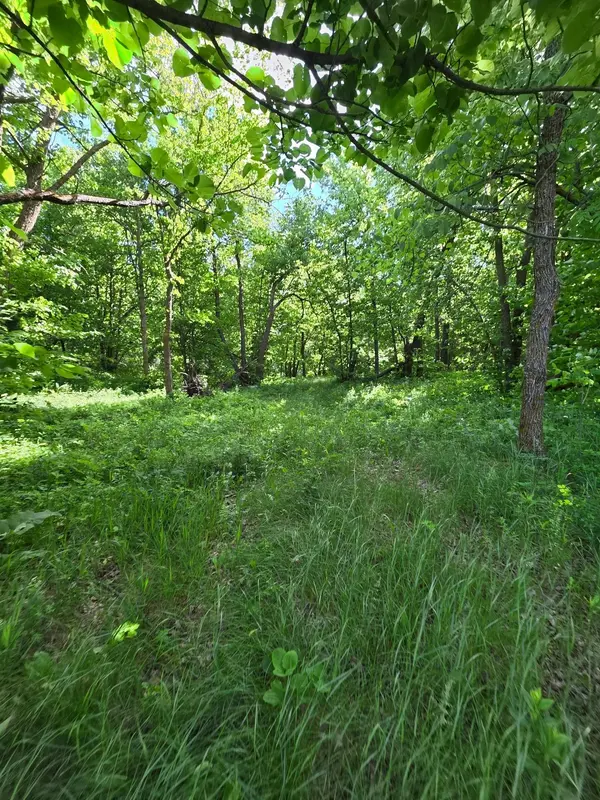 TBD St Hwy 113, Waubun, MN 56589
