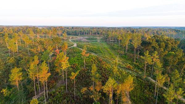 0 Second Creek Road, Lutts, TN 38471