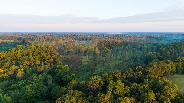 0 Second Creek Road, Lutts, TN 38471