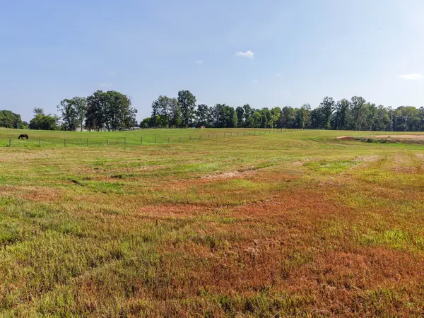 0 Bear Ln, Loretto, TN 38469