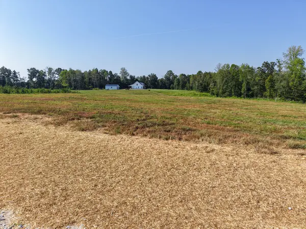 0 Bear Dr, Loretto, TN 38469