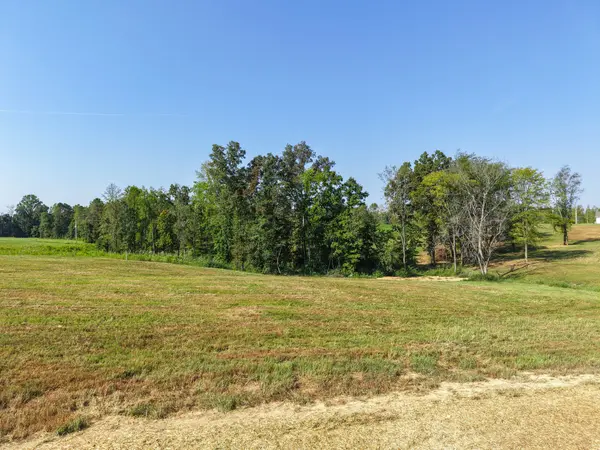 0 Bear Dr, Loretto, TN 38469