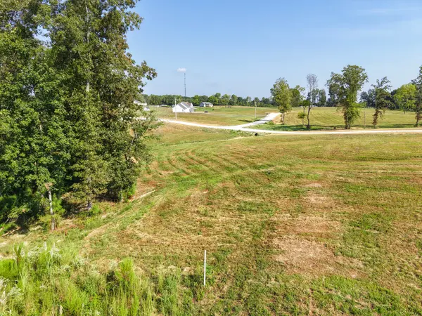 0 Bear Dr, Loretto, TN 38469