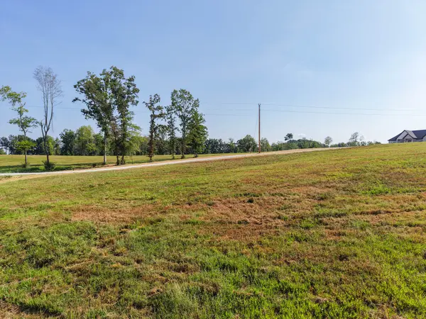 0 Bear Dr, Loretto, TN 38469