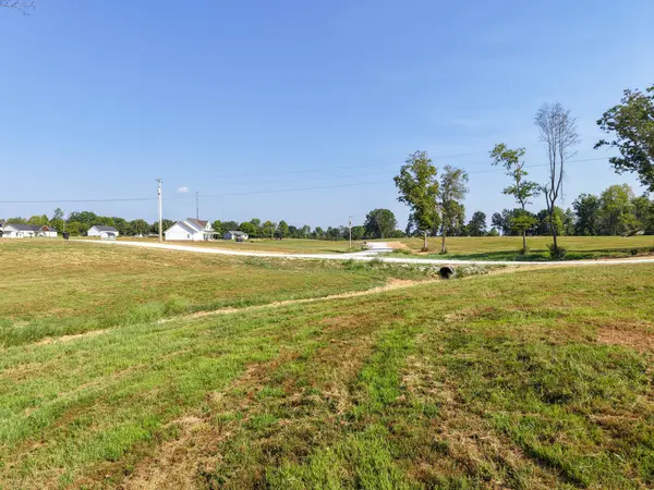 0 Bear Dr, Loretto, TN 38469