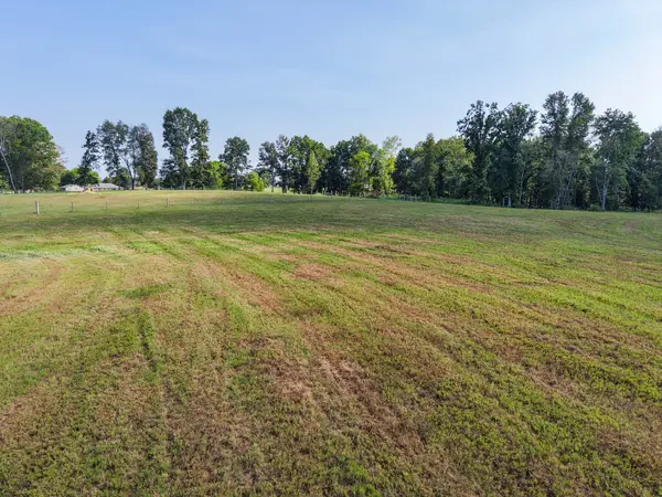 0 Bear Ln, Loretto, TN 38469