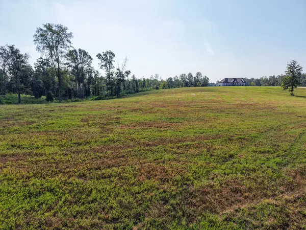 0 Bear Ln, Loretto, TN 38469