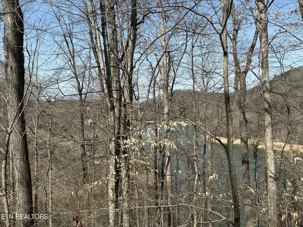 51 S Shorewood Drive, Caryville, TN 37714