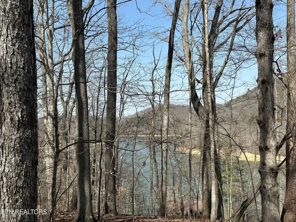 51 S Shorewood Drive, Caryville, TN 37714