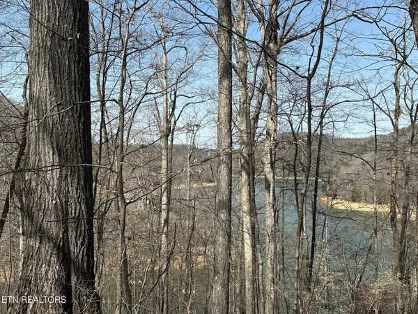 51 S Shorewood Drive, Caryville, TN 37714