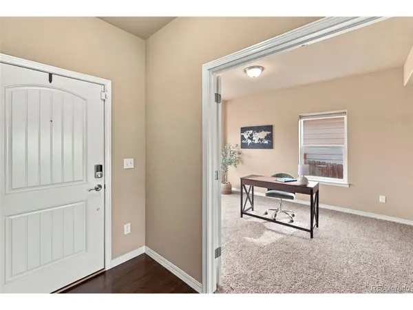 5954 Finglas, Colorado Springs, CO 80923