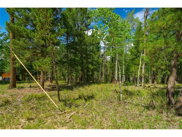 431 Cottonwood Lake, Divide, CO 80814