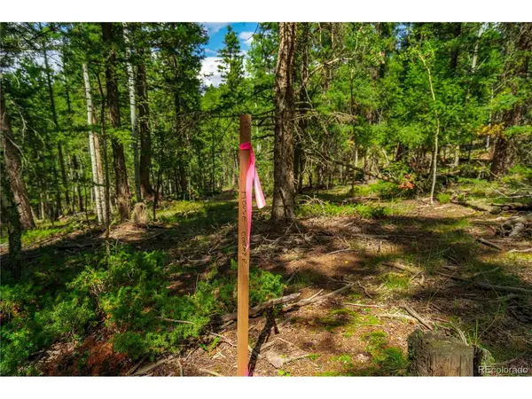 431 Cottonwood Lake, Divide, CO 80814