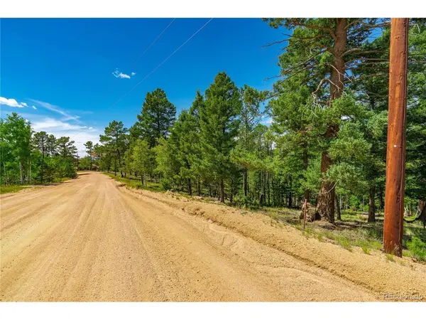 431 Cottonwood Lake, Divide, CO 80814