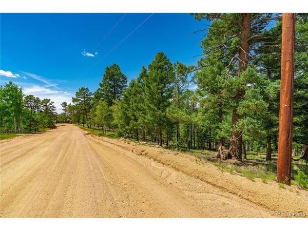 431 Cottonwood Lake, Divide, CO 80814
