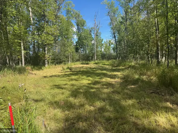 TBD Sheshebe Road, Mcgregor, MN 55760