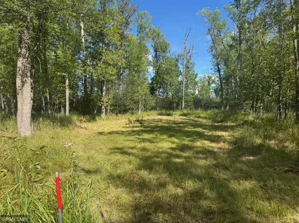 TBD Sheshebe Road, Mcgregor, MN 55760
