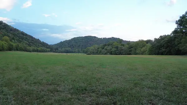 0 Club Springs Rd, Buffalo Valley, TN 38548