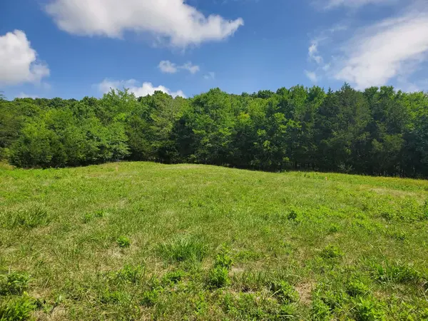 0 Preston Ln, Elmwood, TN 38560