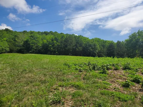 0 Preston Ln, Elmwood, TN 38560