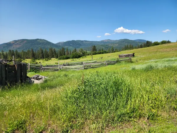 xxx Hall Creek Rd, Inchelium, WA 99138