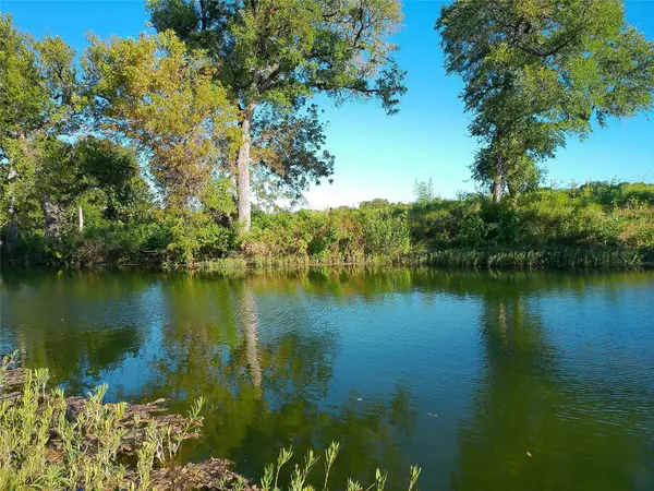 Lot 37 Serenity DR, Bertram, TX 78605