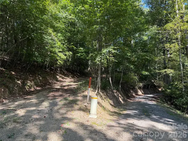 000C Rosalie LN, Waynesville, NC 28785