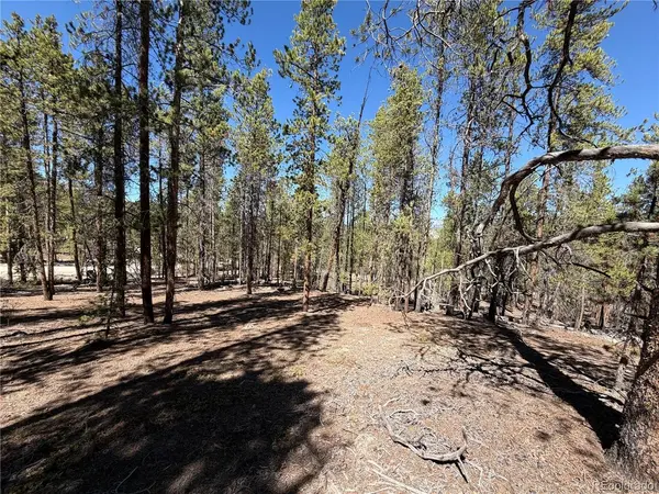 350 Mount Massive, Twin Lakes, CO 81251